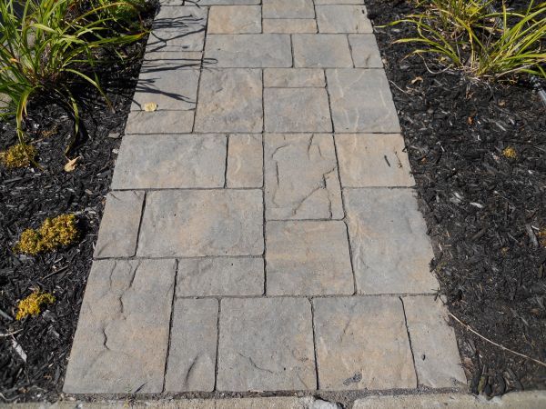 Stamped Concrete Staining in Santa Maria