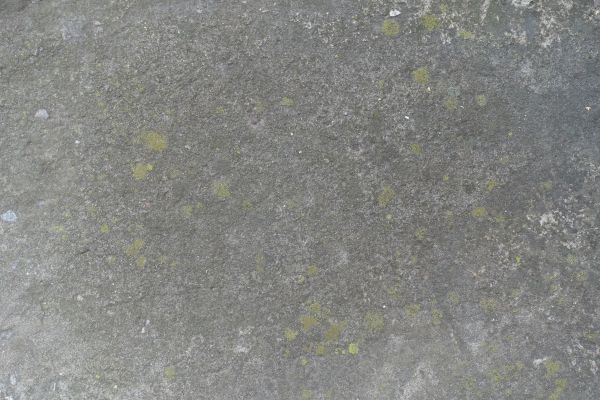 Cost of Slab Staining Service in Santa Maria