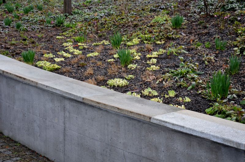 How Decorative Concrete Walls Improve Property Value